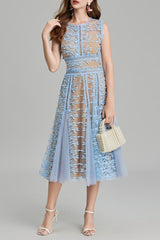 phoenix 3d Embroidered lace mesh midi dress in blue