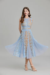 phoenix 3d Embroidered lace mesh midi dress in blue